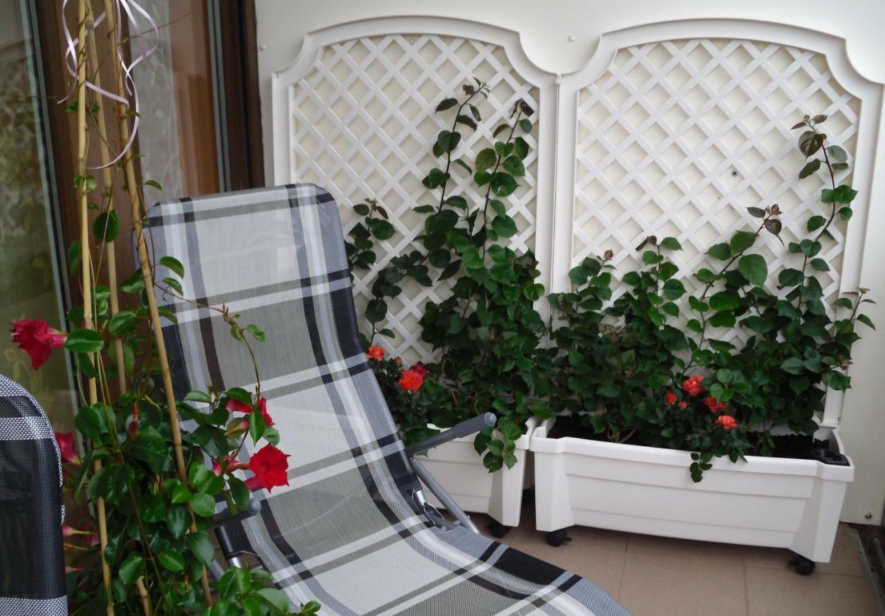 Ferienwohnung Rothe Dippoldiswalde Luaran gambar